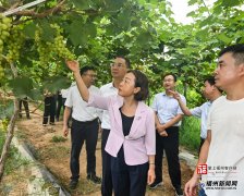 郭宁宁吴贤德“两曲”查抄食物平安工做